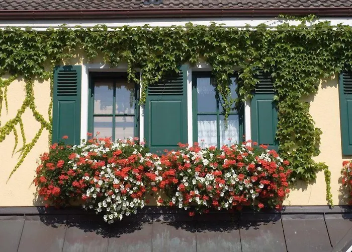 Alte Scheune Frankfurt am Main